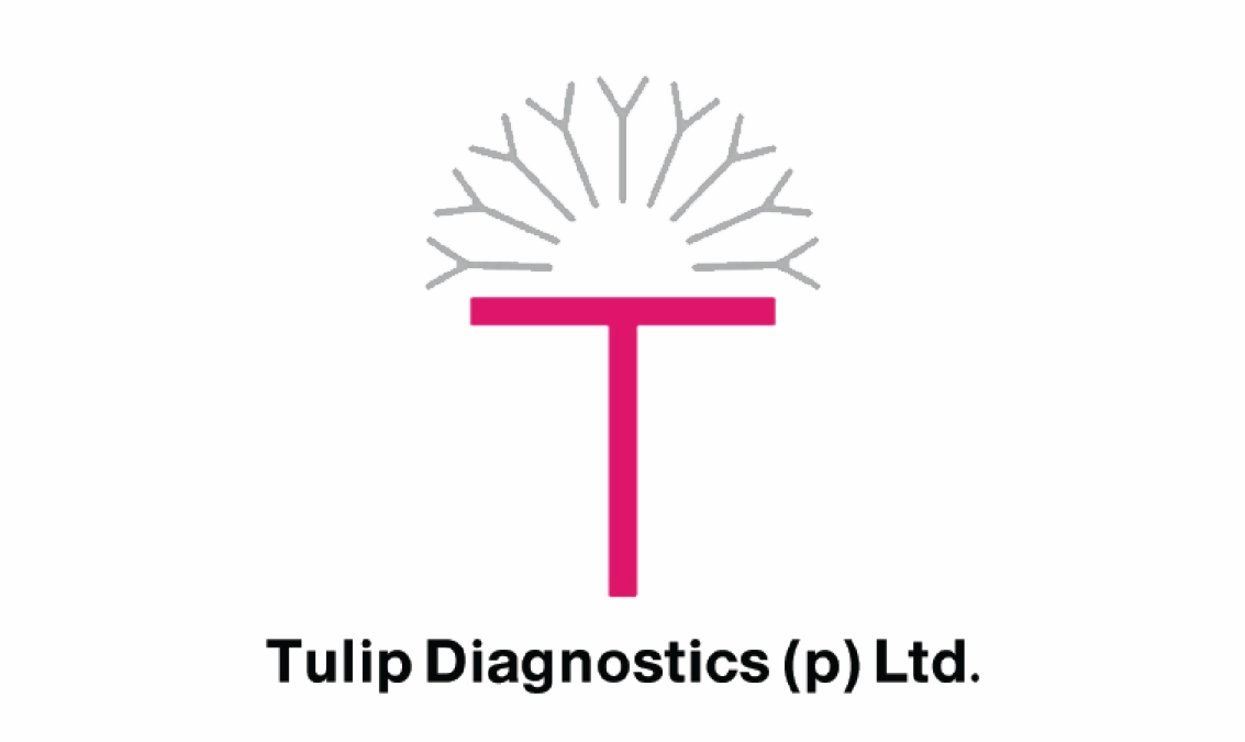 Tulip